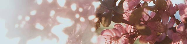 ブログ用メインビジュアル